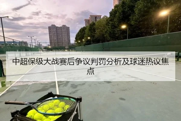 中超保级大战赛后争议判罚分析及球迷热议焦点